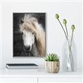 Picture of Stallion _GroupedProduct_Rectangle_Portrait_Photography _GroupedProduct_Rectangle_Portrait_Canvas_Framed_