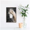 Picture of Stallion _GroupedProduct_Rectangle_Portrait_Photography _GroupedProduct_Rectangle_Portrait_Canvas_Framed_