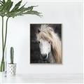 Picture of Stallion _GroupedProduct_Rectangle_Portrait_Photography _GroupedProduct_Rectangle_Portrait_Canvas_Framed_