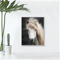 Picture of Stallion _GroupedProduct_Rectangle_Portrait_Photography _GroupedProduct_Rectangle_Portrait_Canvas_Framed_