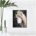 Picture of Stallion _GroupedProduct_Rectangle_Portrait_Photography _GroupedProduct_Rectangle_Portrait_Canvas_Framed_