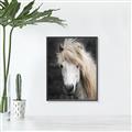 Picture of Stallion _GroupedProduct_Rectangle_Portrait_Photography _GroupedProduct_Rectangle_Portrait_Canvas_Framed_