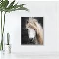 Picture of Stallion _GroupedProduct_Rectangle_Portrait_Photography _GroupedProduct_Rectangle_Portrait_Canvas_Framed_
