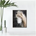 Picture of Stallion _GroupedProduct_Rectangle_Portrait_Photography _GroupedProduct_Rectangle_Portrait_Canvas_Framed_