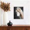 Picture of Stallion _GroupedProduct_Rectangle_Portrait_Photography _GroupedProduct_Rectangle_Portrait_Canvas_Framed_