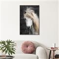 Picture of Stallion _GroupedProduct_Rectangle_Portrait_Photography _GroupedProduct_Rectangle_Portrait_Canvas_Framed_