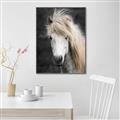 Picture of Stallion _GroupedProduct_Rectangle_Portrait_Photography _GroupedProduct_Rectangle_Portrait_Canvas_Framed_