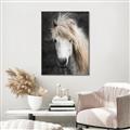 Picture of Stallion _GroupedProduct_Rectangle_Portrait_Photography _GroupedProduct_Rectangle_Portrait_Canvas_Framed_