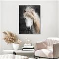 Picture of Stallion _GroupedProduct_Rectangle_Portrait_Photography _GroupedProduct_Rectangle_Portrait_Canvas_Framed_