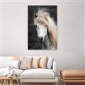 Picture of Stallion _GroupedProduct_Rectangle_Portrait_Photography _GroupedProduct_Rectangle_Portrait_Canvas_Framed_