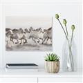 Picture of Horses Running in Water _GroupedProduct_Rectangle_Landscape_Photography _GroupedProduct_Rectangle_Landscape_Unframed_Print_Only_