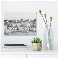 Picture of Horses Running in Water _GroupedProduct_Rectangle_Landscape_Photography _GroupedProduct_Rectangle_Landscape_Unframed_Print_Only_
