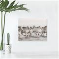Picture of Horses Running in Water _GroupedProduct_Rectangle_Landscape_Photography _GroupedProduct_Rectangle_Landscape_Unframed_Print_Only_