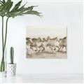 Picture of Horses Running in Water _GroupedProduct_Rectangle_Landscape_Photography _GroupedProduct_Rectangle_Landscape_Unframed_Print_Only_