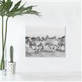 Picture of Horses Running in Water _GroupedProduct_Rectangle_Landscape_Photography _GroupedProduct_Rectangle_Landscape_Unframed_Print_Only_