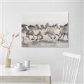 Picture of Horses Running in Water _GroupedProduct_Rectangle_Landscape_Photography _GroupedProduct_Rectangle_Landscape_Unframed_Print_Only_