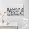 Picture of Horses Running in Water _GroupedProduct_Rectangle_Landscape_Photography _GroupedProduct_Rectangle_Landscape_Unframed_Print_Only_