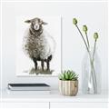 Picture of Watercolour Sheep  _GroupedProduct_Rectangle_Portrait_Unframed_Print_Only_