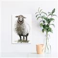 Picture of Watercolour Sheep  _GroupedProduct_Rectangle_Portrait_Unframed_Print_Only_