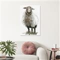 Picture of Watercolour Sheep  _GroupedProduct_Rectangle_Portrait_Unframed_Print_Only_