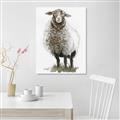 Picture of Watercolour Sheep  _GroupedProduct_Rectangle_Portrait_Unframed_Print_Only_