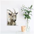 Picture of Watercolour Ram  _GroupedProduct_Rectangle_Portrait_Unframed_Print_Only_