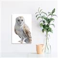 Picture of Watercolour Owl  _GroupedProduct_Rectangle_Portrait_Unframed_Print_Only_