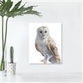 Picture of Watercolour Owl  _GroupedProduct_Rectangle_Portrait_Unframed_Print_Only_