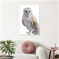 Picture of Watercolour Owl  _GroupedProduct_Rectangle_Portrait_Unframed_Print_Only_