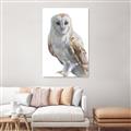Picture of Watercolour Owl  _GroupedProduct_Rectangle_Portrait_Unframed_Print_Only_