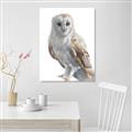 Picture of Watercolour Owl  _GroupedProduct_Rectangle_Portrait_Unframed_Print_Only_