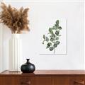Picture of Green Leaves II  _GroupedProduct_Rectangle_Portrait_Unframed_Print_Only_