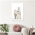 Picture of Solo White Horse _GroupedProduct_Rectangle_Portrait_Photography _GroupedProduct_Rectangle_Portrait_Unframed_Print_Only_