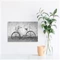Picture of Pink bike _GroupedProduct_Rectangle_Landscape_Photography _GroupedProduct_Rectangle_Landscape_Unframed_Print_Only_