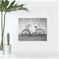 Picture of Pink bike _GroupedProduct_Rectangle_Landscape_Photography _GroupedProduct_Rectangle_Landscape_Unframed_Print_Only_