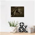 Picture of Black Beauty _GroupedProduct_Rectangle_Landscape_Photography _GroupedProduct_Rectangle_Landscape_Unframed_Print_Only_