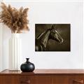 Picture of Black Beauty _GroupedProduct_Rectangle_Landscape_Photography _GroupedProduct_Rectangle_Landscape_Unframed_Print_Only_