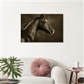 Picture of Black Beauty _GroupedProduct_Rectangle_Landscape_Photography _GroupedProduct_Rectangle_Landscape_Unframed_Print_Only_