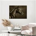 Picture of Black Beauty _GroupedProduct_Rectangle_Landscape_Photography _GroupedProduct_Rectangle_Landscape_Unframed_Print_Only_