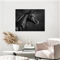 Picture of Black Beauty _GroupedProduct_Rectangle_Landscape_Photography _GroupedProduct_Rectangle_Landscape_Unframed_Print_Only_