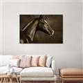 Picture of Black Beauty _GroupedProduct_Rectangle_Landscape_Photography _GroupedProduct_Rectangle_Landscape_Unframed_Print_Only_