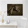 Picture of Black Beauty _GroupedProduct_Rectangle_Landscape_Photography _GroupedProduct_Rectangle_Landscape_Unframed_Print_Only_