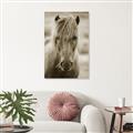 Picture of Icelandic horse in black and white _GroupedProduct_Rectangle_Portrait_Photography _GroupedProduct_Rectangle_Portrait_Unframed_Print_Only_