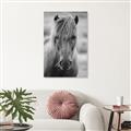 Picture of Icelandic horse in black and white _GroupedProduct_Rectangle_Portrait_Photography _GroupedProduct_Rectangle_Portrait_Unframed_Print_Only_
