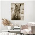 Picture of Icelandic horse in black and white _GroupedProduct_Rectangle_Portrait_Photography _GroupedProduct_Rectangle_Portrait_Unframed_Print_Only_