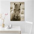 Picture of Icelandic horse in black and white _GroupedProduct_Rectangle_Portrait_Photography _GroupedProduct_Rectangle_Portrait_Unframed_Print_Only_