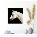 Picture of Side Profile _GroupedProduct_Square_Photography _GroupedProduct_Square_Unframed_Print_Only_