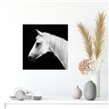Picture of Side Profile _GroupedProduct_Square_Photography _GroupedProduct_Square_Unframed_Print_Only_