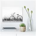 Picture of Leaning Bike  _GroupedProduct_Rectangle_Landscape_Photography _GroupedProduct_Rectangle_Landscape_Unframed_Print_Only_