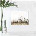 Picture of Leaning Bike  _GroupedProduct_Rectangle_Landscape_Photography _GroupedProduct_Rectangle_Landscape_Unframed_Print_Only_